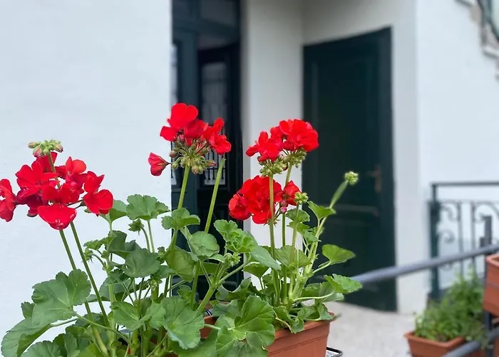 Storico In Anni '30 - Vicino Al Centro 公寓 *